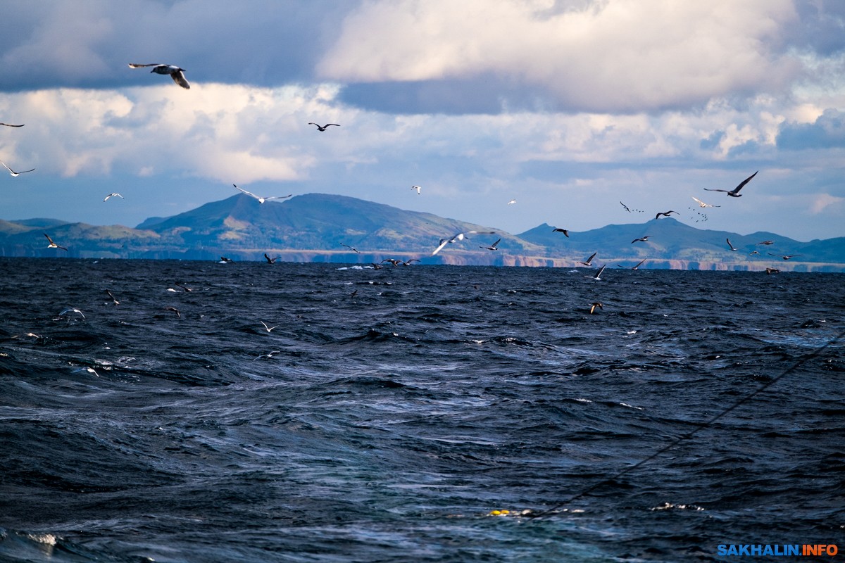 Южно Сахалинск Охотское море зима