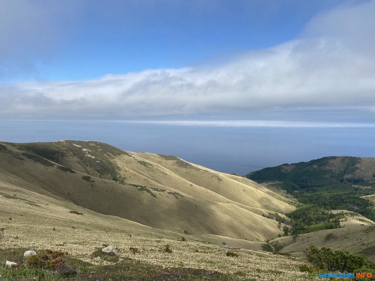 Гора Крузенштерна